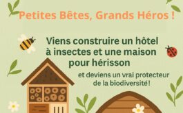 Animation Nature : « Petites bêtes, Grands Héros »